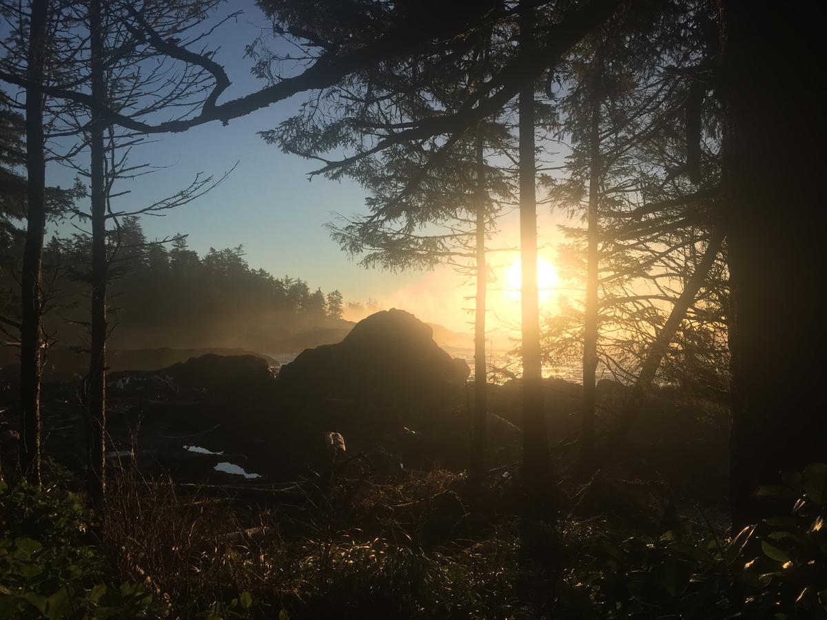 The Francis Boutique Inn Ucluelet Exterior photo